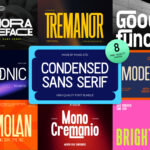 Featured image for Condensed Sans Serif Bundle Font by product.rasiostudio